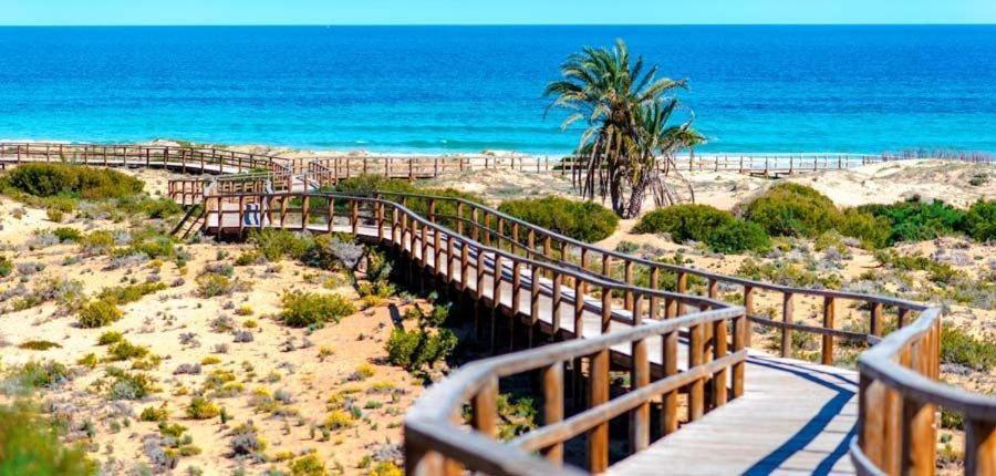 Apartamento En El Centro De Elche Con Terraza La Alborada Exterior foto